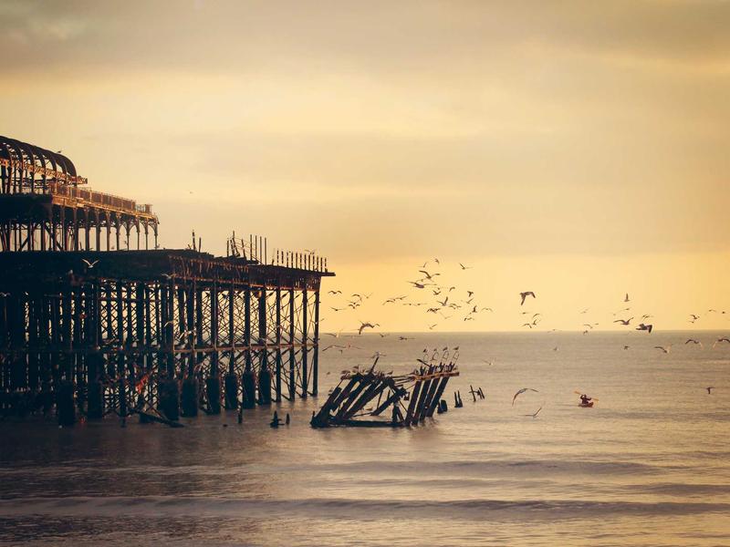 RenSivXorZoraro Querétaro 2